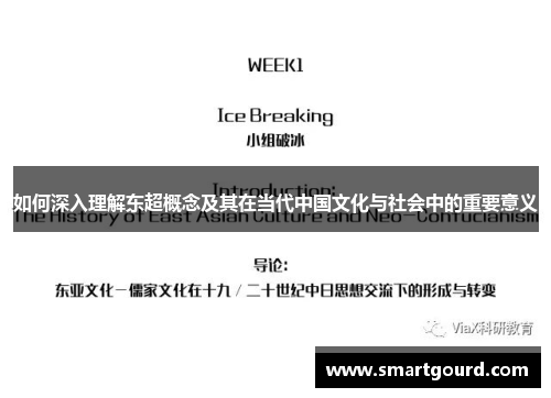 如何深入理解东超概念及其在当代中国文化与社会中的重要意义