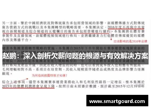 赵鹏:深入剖析欠薪问题的根源与有效解决方案 赵鹏:深入剖析欠薪问题的根源与有效解决方案